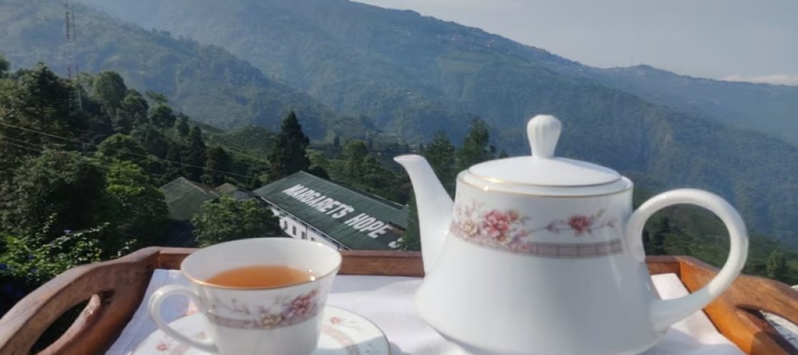Darjeeling’s Most Storied Tea Estate Writes a New Chapter