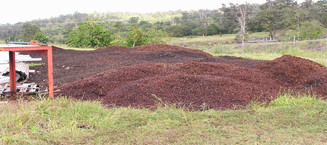 Coffee bean extract may lower cholesterol, says industry-backed study
